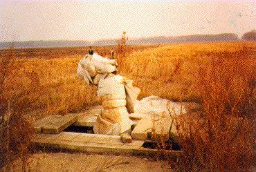 ko-7.jpg (32077 bytes)