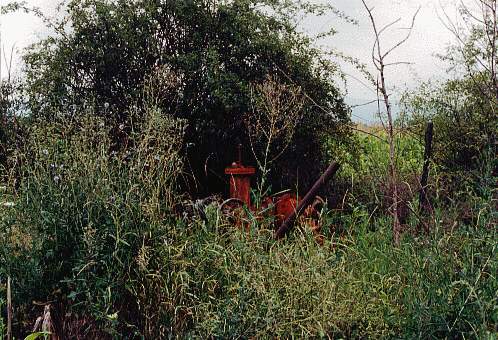ml-17.jpg (57908 bytes)